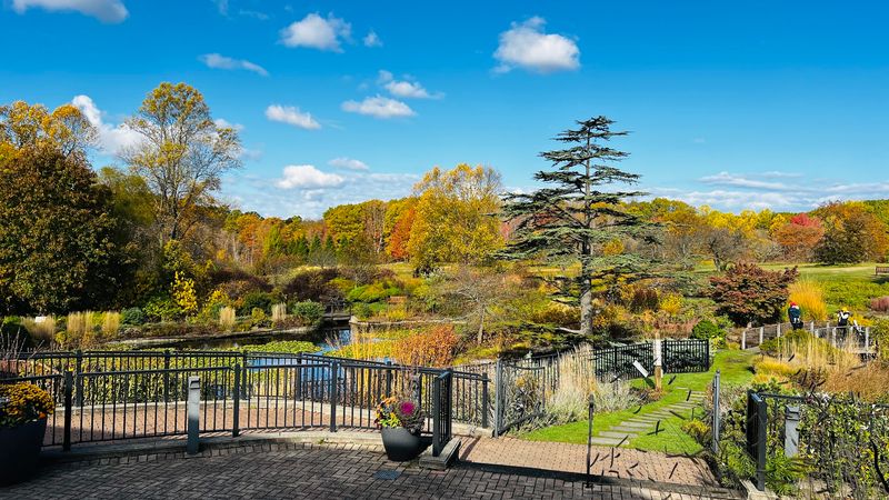 Holden Arboretum