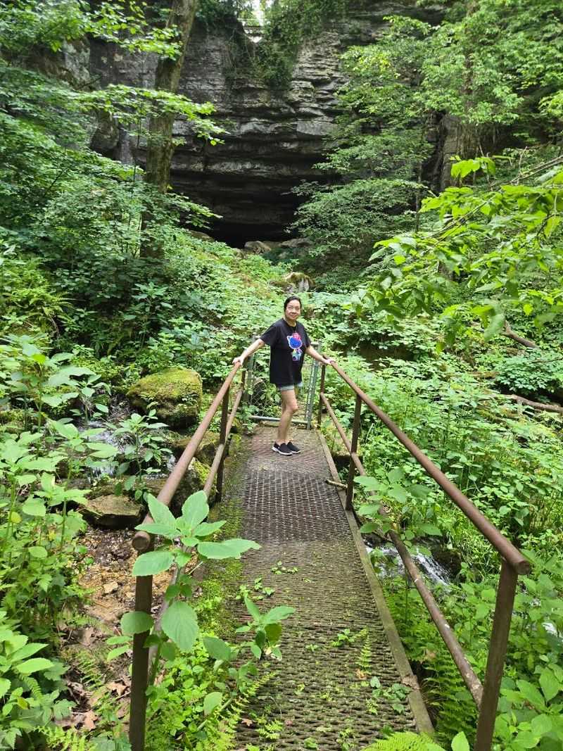 Dutton Cave County Park