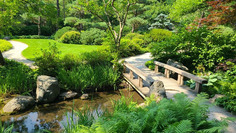 Anderson Japanese Gardens (Rockford)