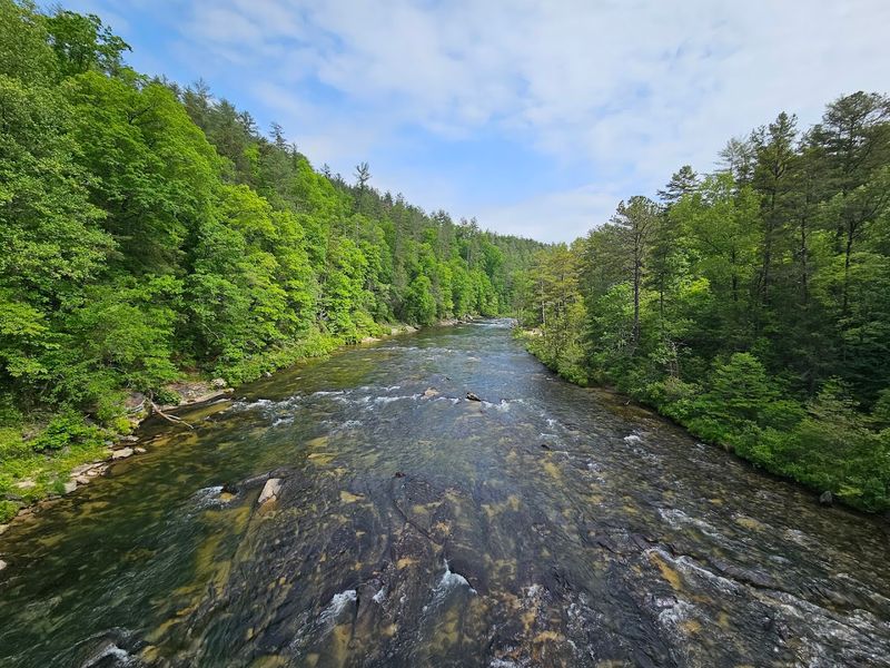 Chattooga River Trail - Long Creek, Oconee County