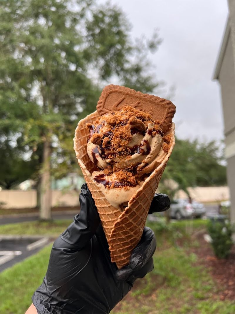 Vegan Scoops - Orlando, Orange County