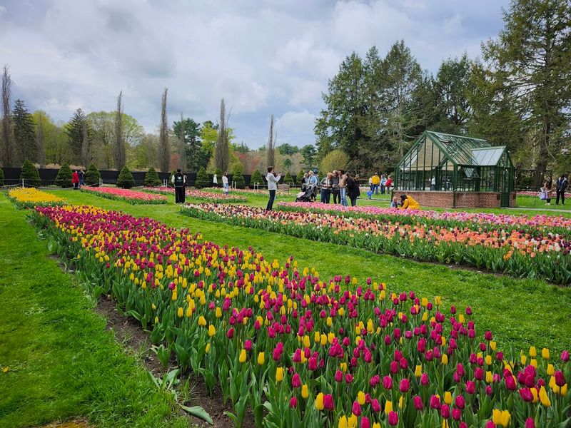 Massachusetts Horticultural Society – The Garden at Elm Bank
