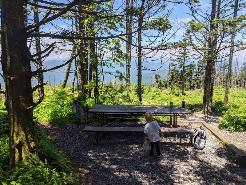 Mount Mitchell State Park Campground