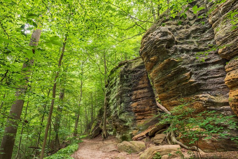 Discover the Quiet Beauty of Pine Grove Trail