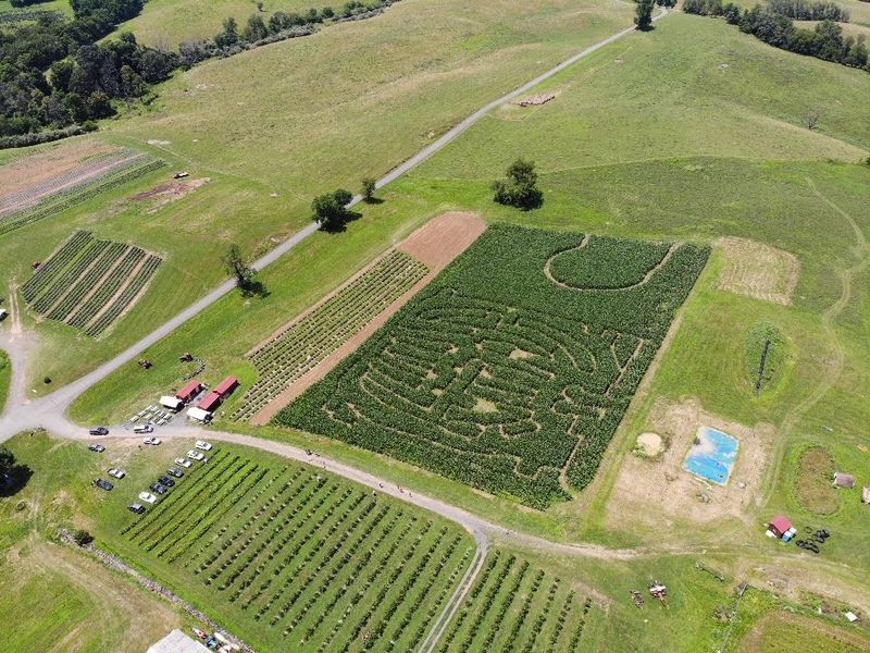 Hartland Orchard - Rapidan, Madison County,