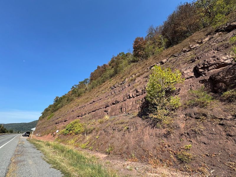 Red Hill Fossil Site