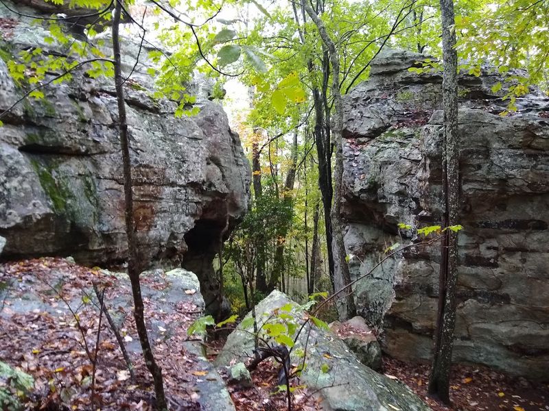 Rock Town Cave - Cloudland Canyon, Dade County