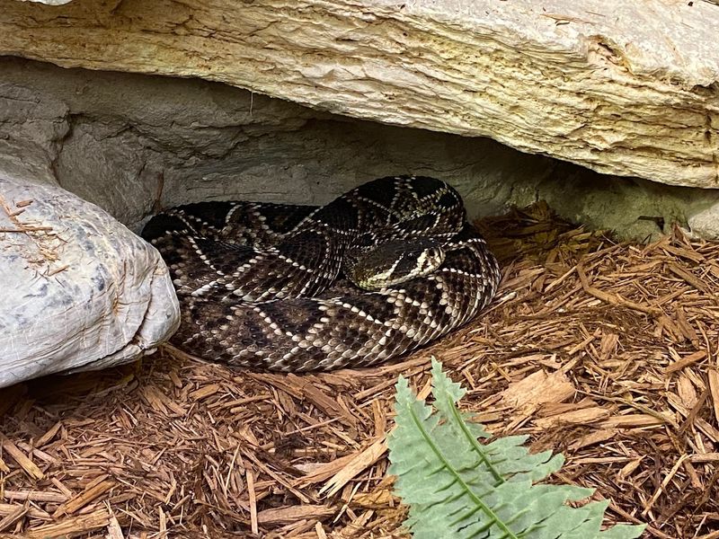 A Wildlife Experience That Works For Families And Curious Explorers