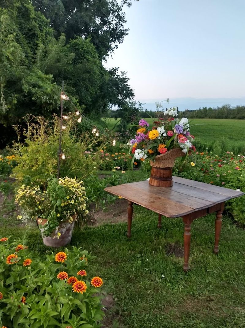 Hurd Orchards, Holley, Orleans County