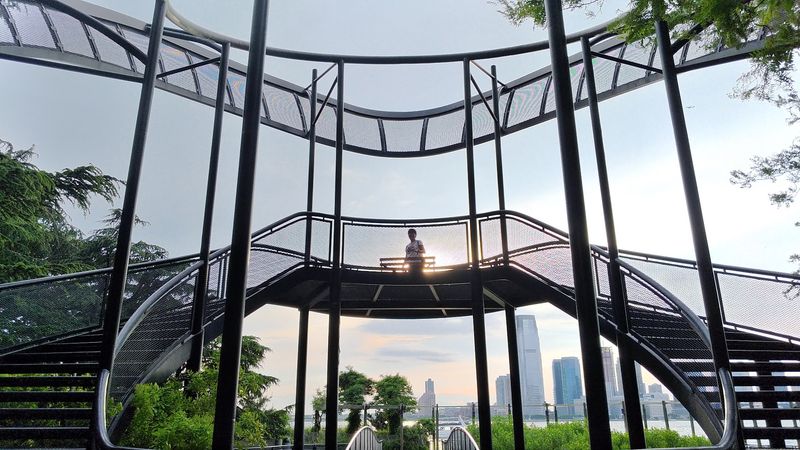The Elevated Viewing Platform