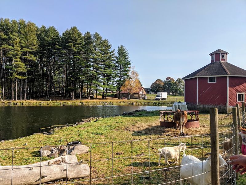 Pine Hill Orchards - Colrain, Franklin County