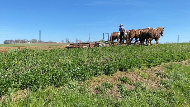 Route 422 Amish Country - Myerstown, Lebanon County