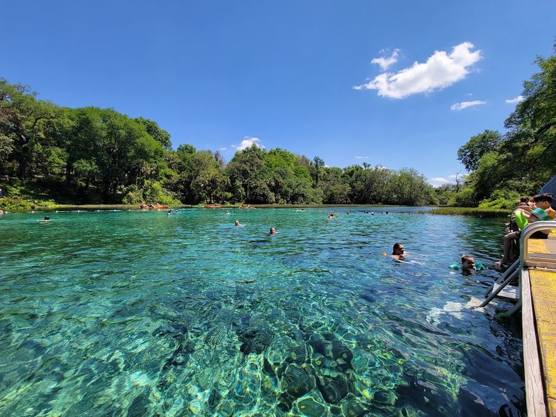 Rainbow River - Dunnellon, Marion County,