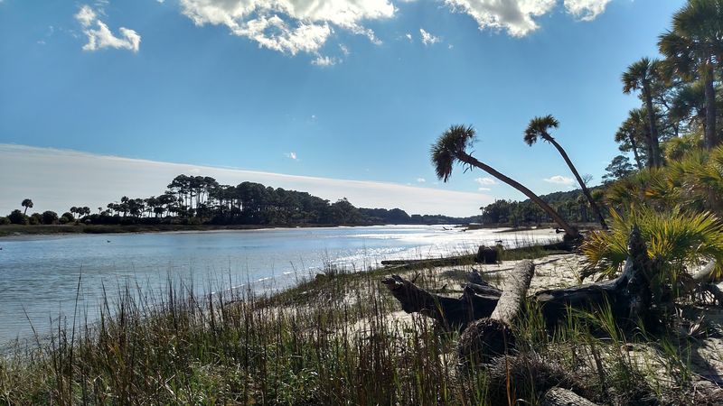 Hunting Island Nature Trail - Hunting Island, Beaufort County