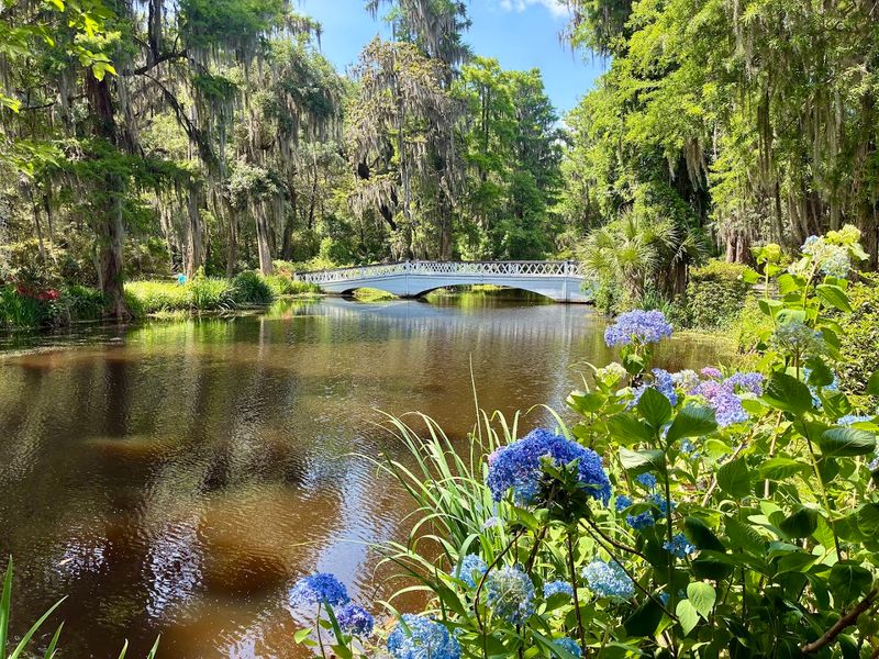 Magnolia Plantation and Gardens - Charleston, Charleston County