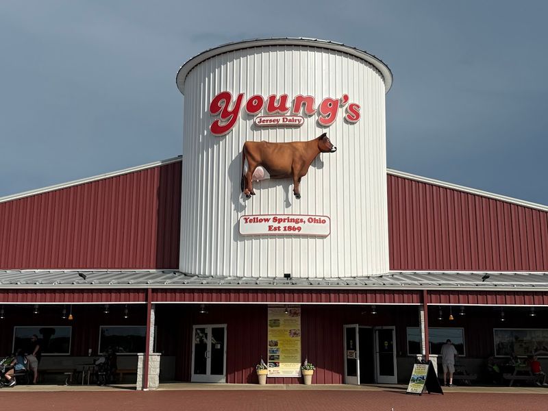 Farmstead fun at Young's Jersey Dairy