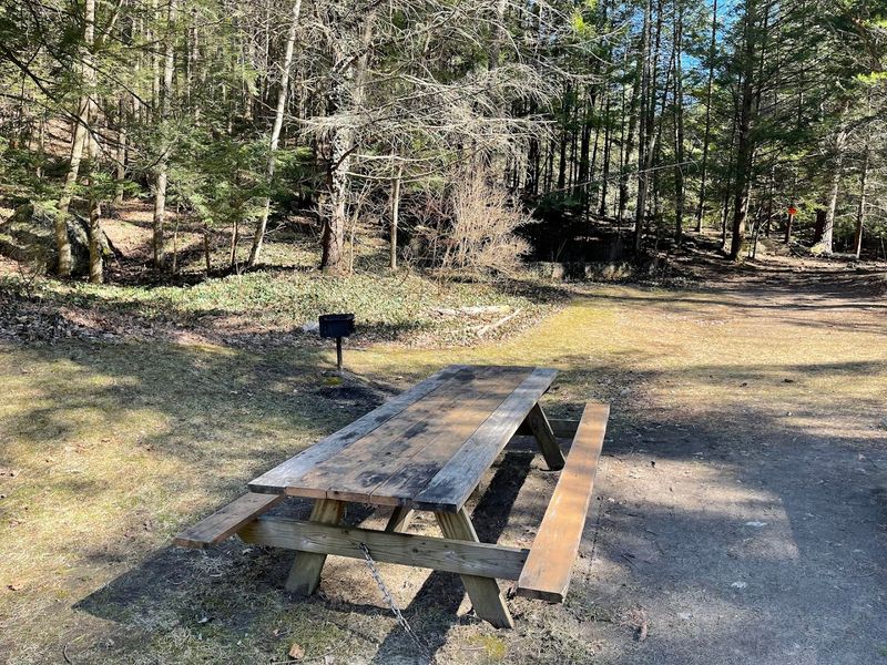 A Hidden Berkshire Picnic Spot Surrounded By Nature