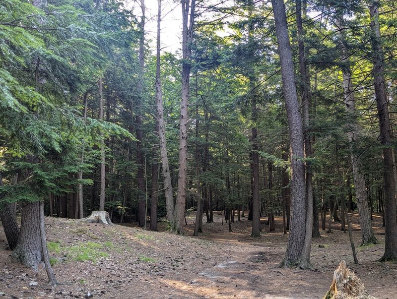 Trail Networks Connecting Hidden Natural Treasures