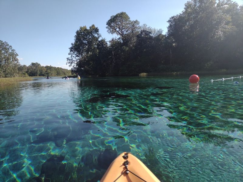 Paddling The Rainbow River
