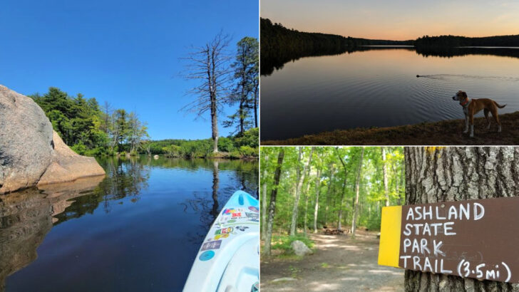 Swimming, Paddleboarding, And Woodland Trails Make This Massachusetts State Park A Summer Favorite