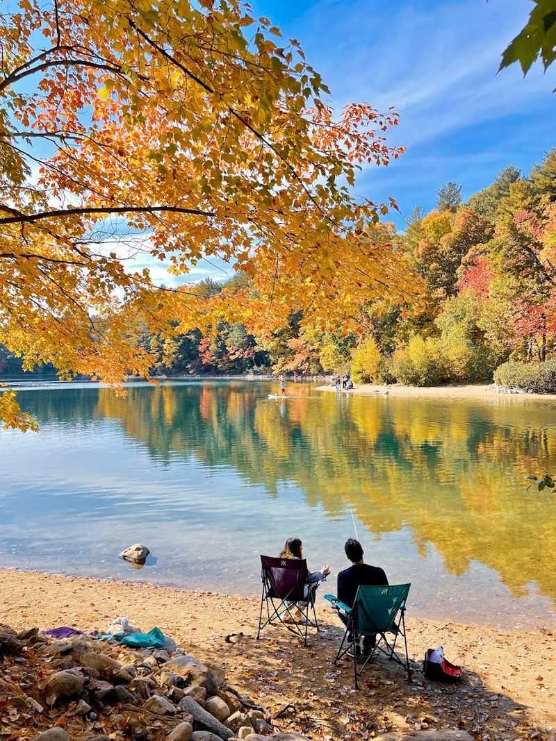 Picnic by the Pond