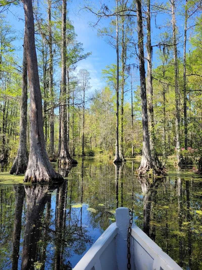 Cypress Gardens
