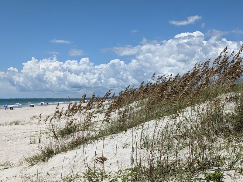 Huntington Beach State Park, Murrells Inlet, Georgetown County
