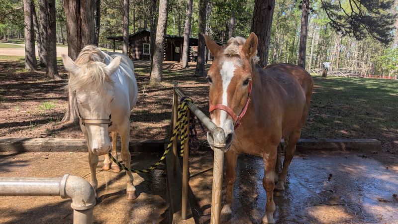 Croft State Park - Spartanburg, Spartanburg County