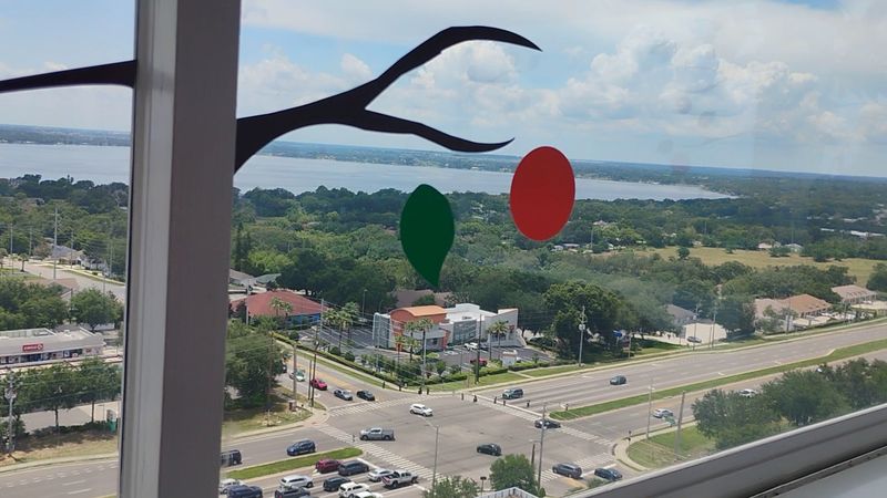 Spot Lake Apopka and Clermont's Chain of Lakes