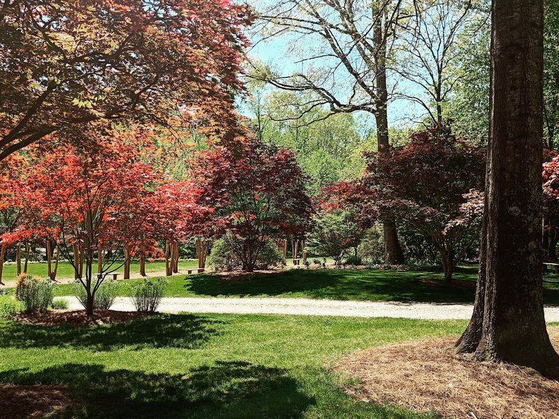 Wander colorful flower displays and peaceful woodland paths at Gibbs Gardens
