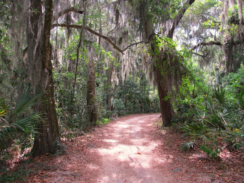 Timucuan Trail (Jacksonville)
