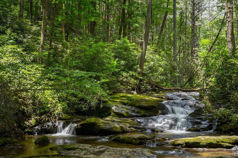 Raven Cliff Falls Trail &ndash; Chattahoochee National Forest