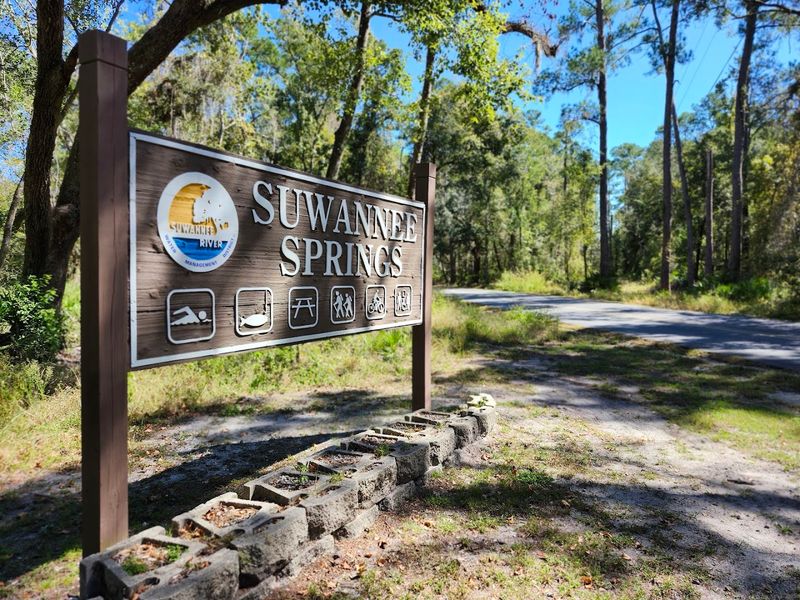 Suwannee River - White Springs, Hamilton County,
