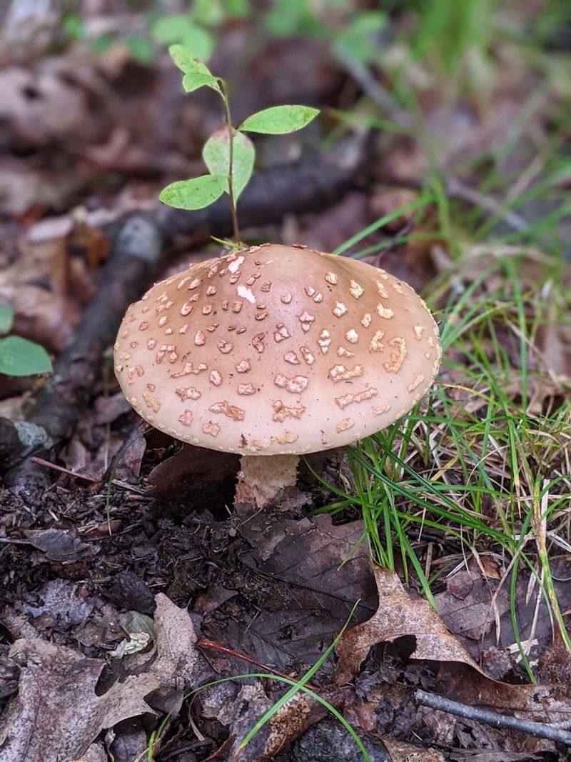 Harriman State Park - Sloatsburg, Rockland County