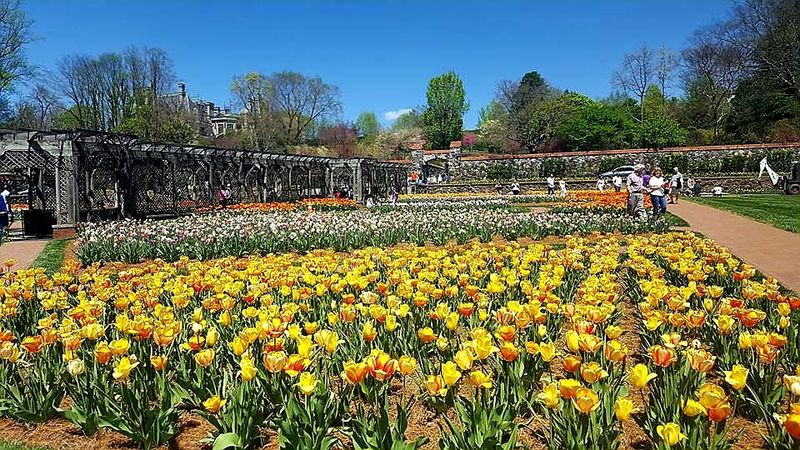 Biltmore Rose Garden