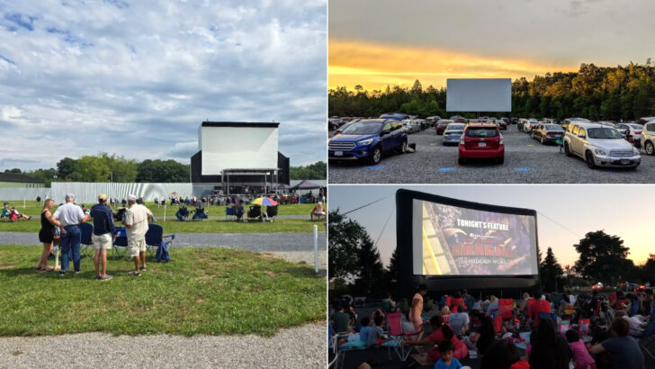 The 14 Best Drive-In Theaters In Virginia This July