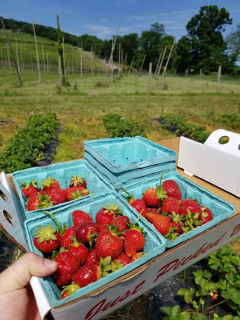 Great Country Farms, Bluemont, Loudoun County