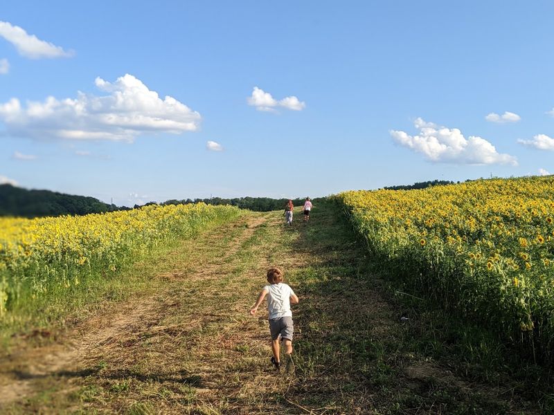 Picture-Perfect Moments Around Every Corner