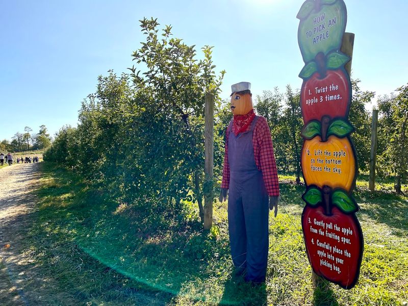 Triple B Farms