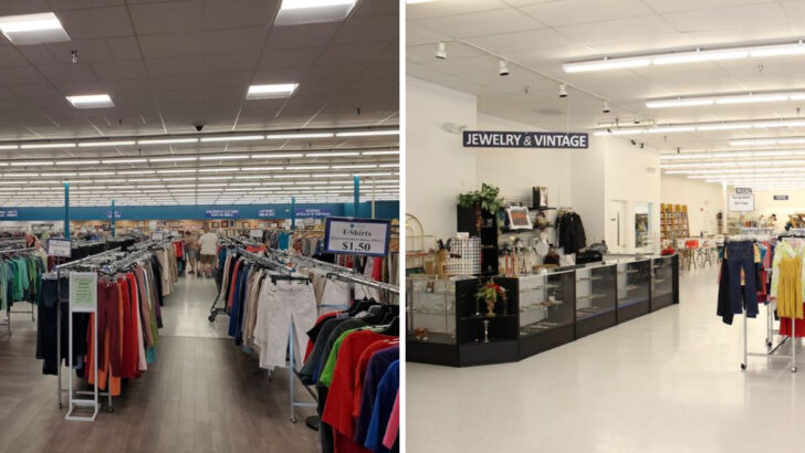 The Best Discoveries at This North Carolina Thrift Store Go to Those Who Browse a Little Longer
