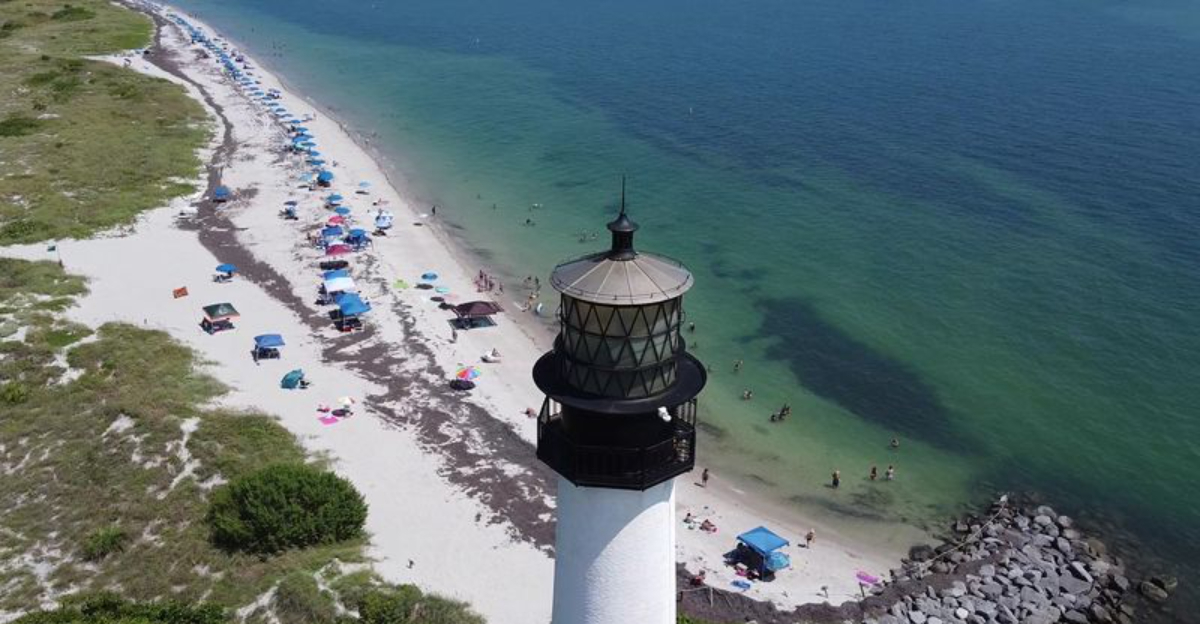 The Best Part Of Our Weekend Cost Less Than $20 At These 10 Florida Adventures