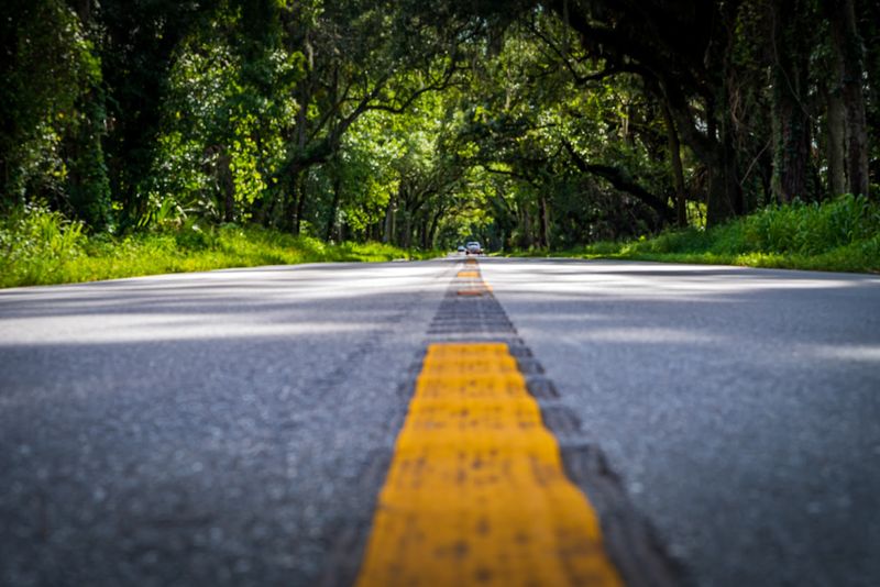 Tips for Making the Most of Your Scenic Drive