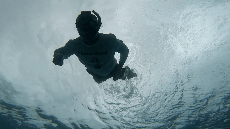 More Than Snorkeling: Diving, Photography, and Park Adventures