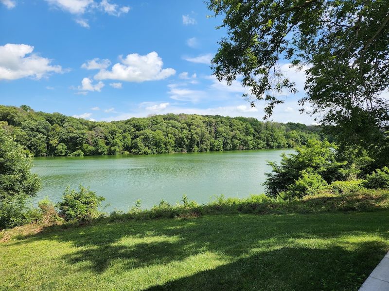 A Surprisingly Peaceful Lake Scene