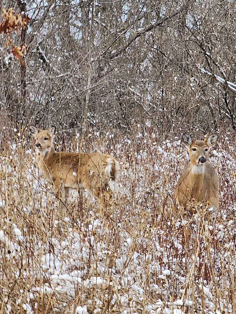 Wildlife and Prairie Views Add More Than Just Water