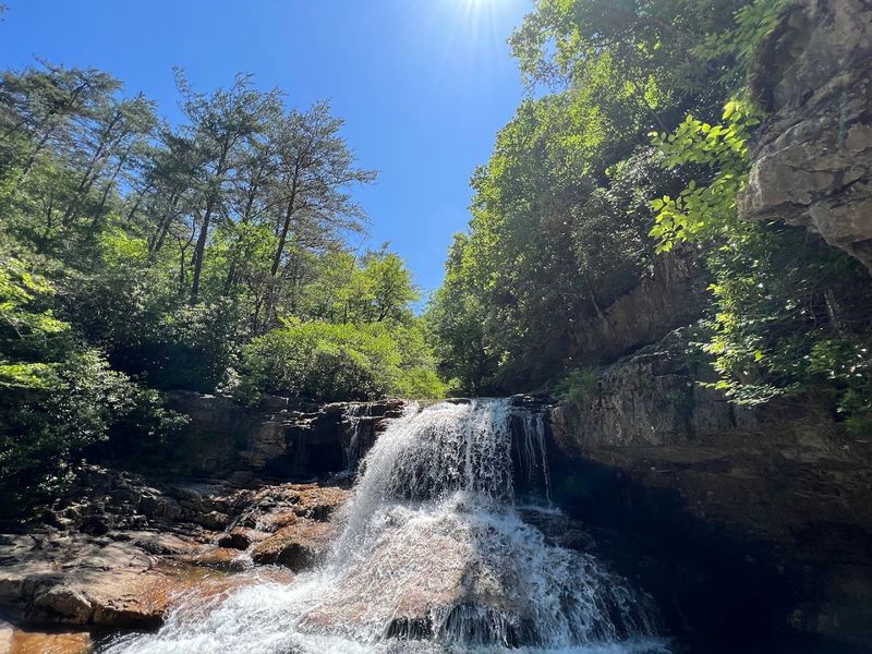 Big Stony Creek - Dismal Falls area, Giles County