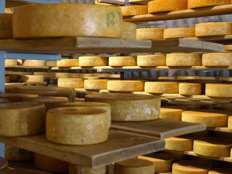 Leelanau Cheese