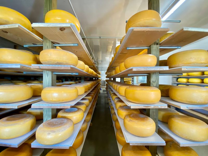 Frisian Farms Cheese House