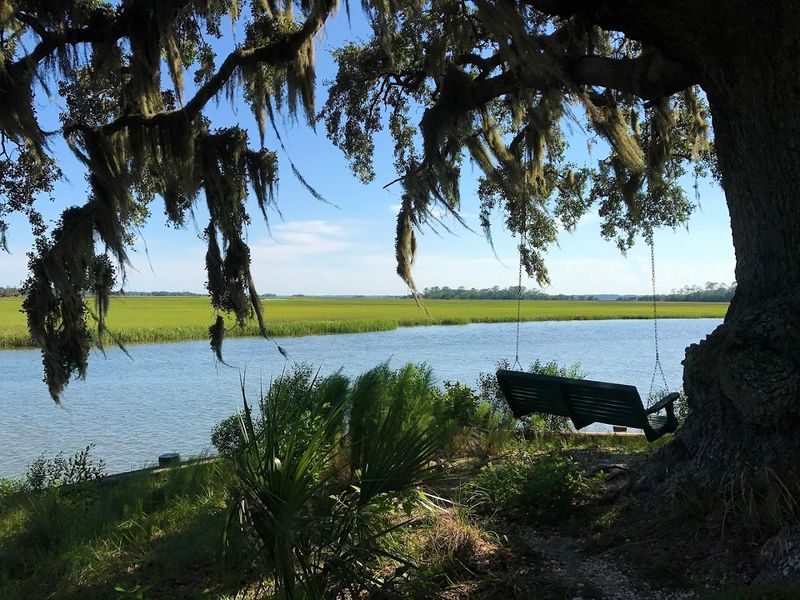 Little St. Simons Island - Little St. Simons Island