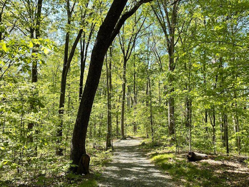 Exploring the Rocky Trails Around Boone's Cave Park